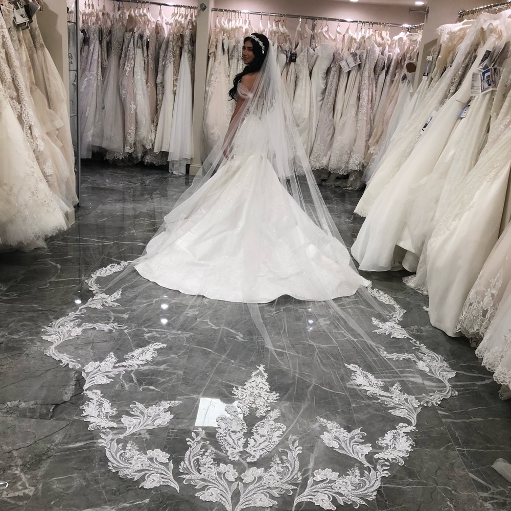 Elegant White Wedding Veil